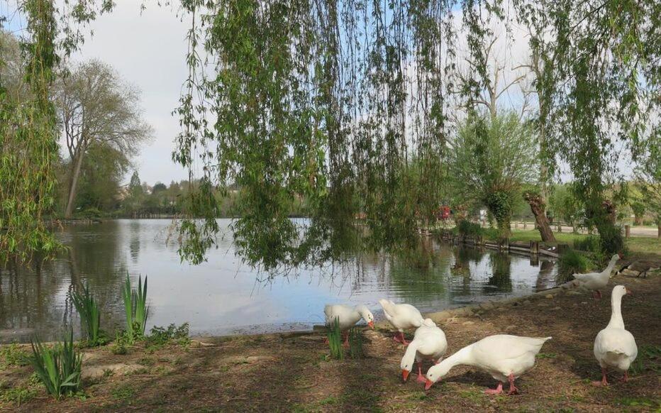 Le Clos Des Marais De Fontenay Exterior foto
